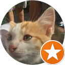 Profilbild von „Thorsten Müller“